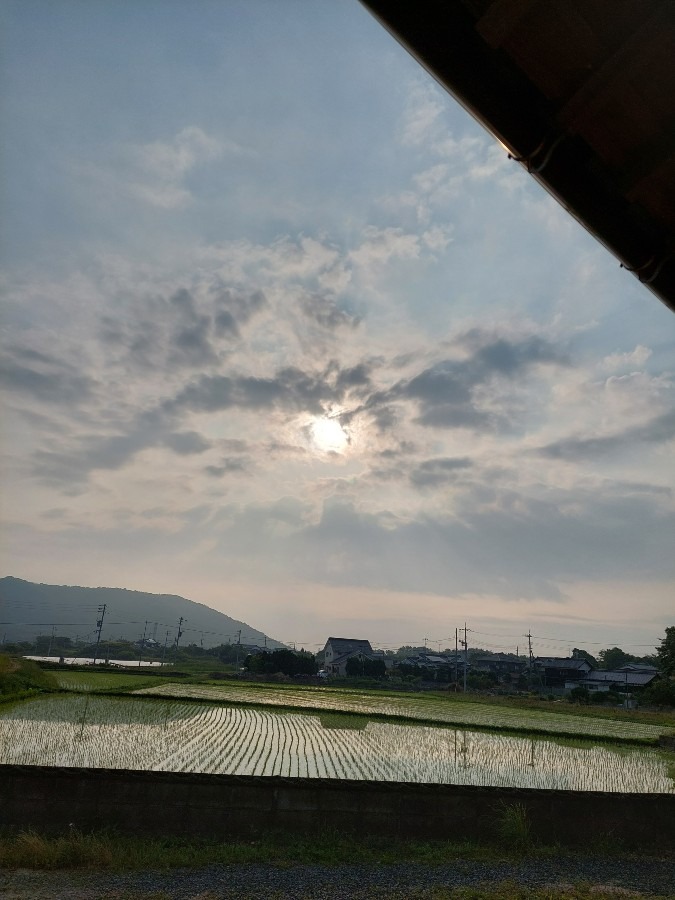 朝空