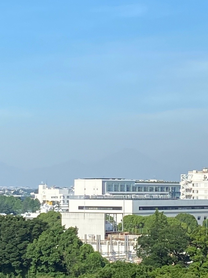 今朝の富士山