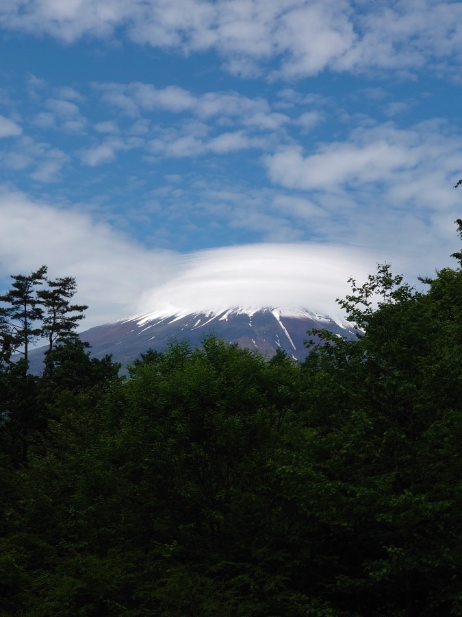 富士山