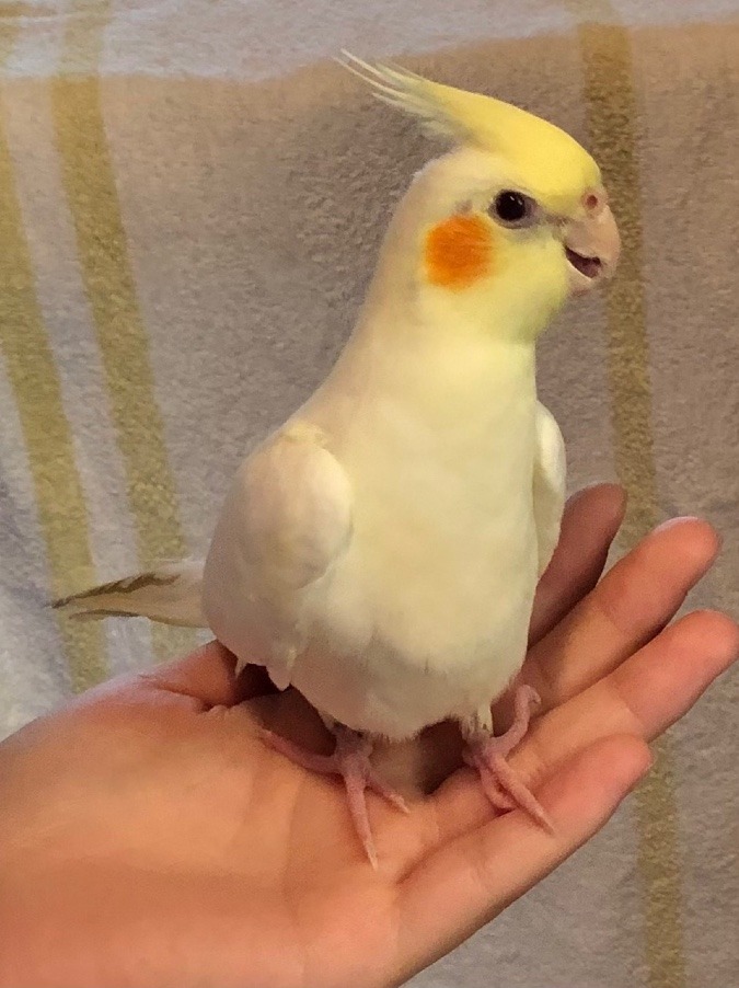 喜んでいます🐥