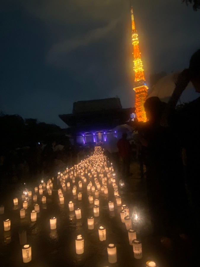 100万人のキャンドルナイト✨