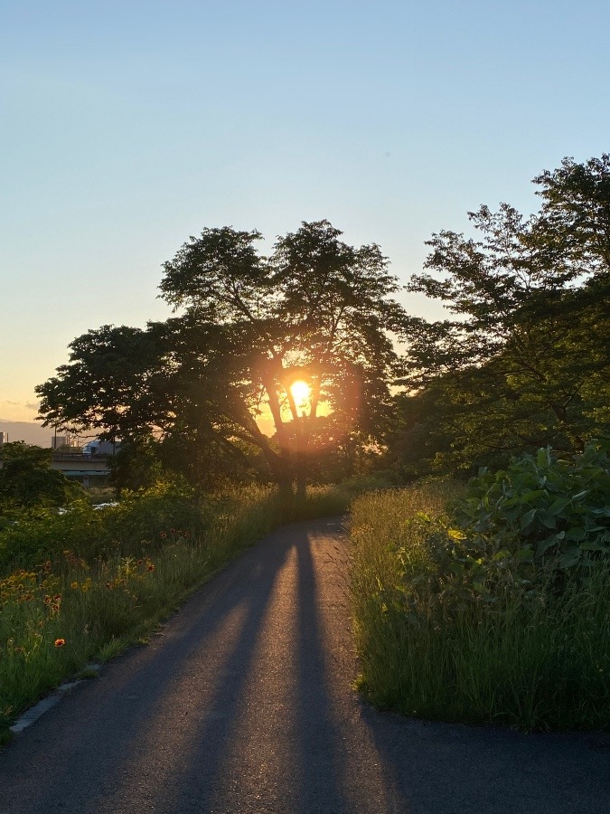 夕陽🌇