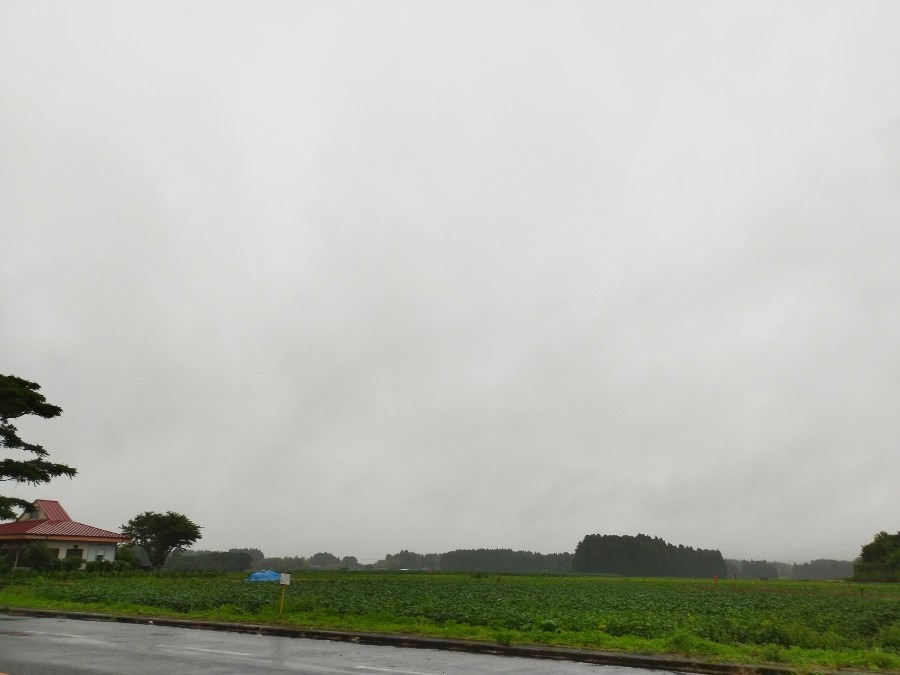 都城市（2022/6/14）今朝も雨の朝です😓❗