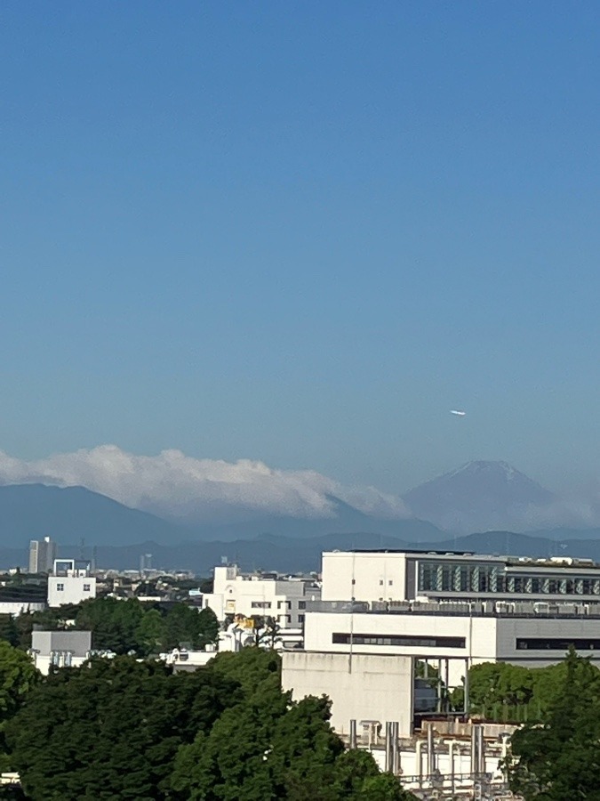 今朝の富士山