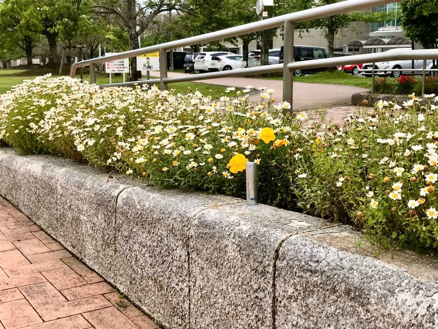 ⭕️アイロニングのある風景5.‼️(^O^)