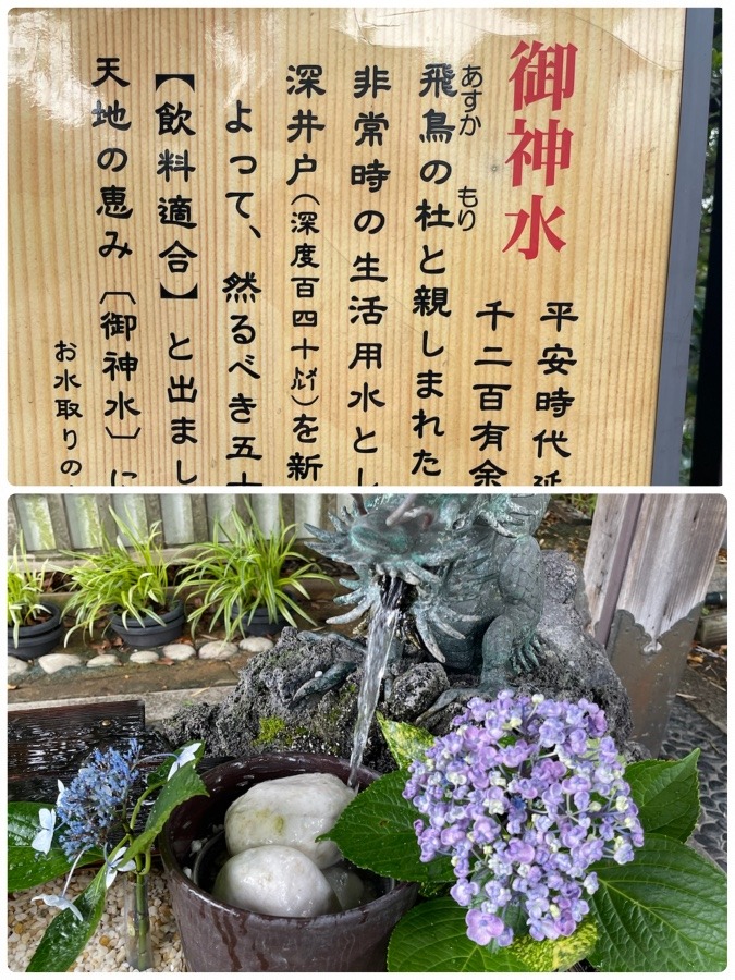 素盞雄神社　②