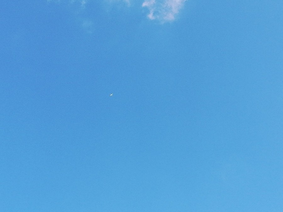 見えますか