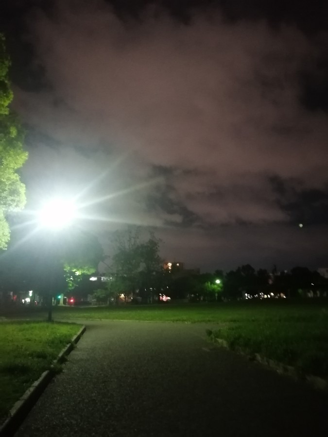 夜の公園