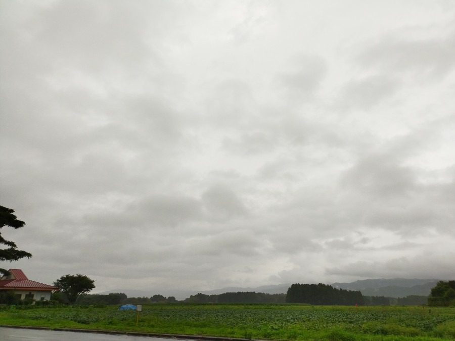 都城市（2022/6/21）今朝も雨降ってます😨❗