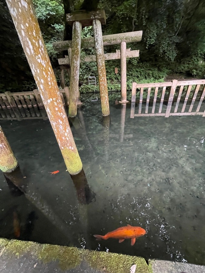 鹿島神社⑥