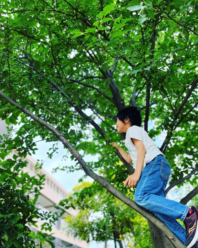 子供の成長