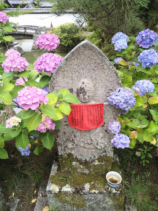 お地蔵さんにも紫陽花