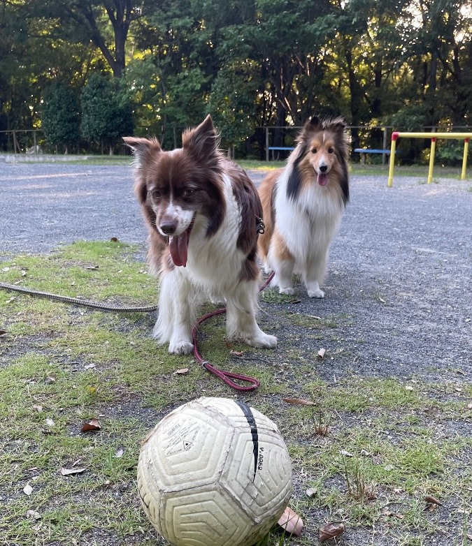 朝練⚽️