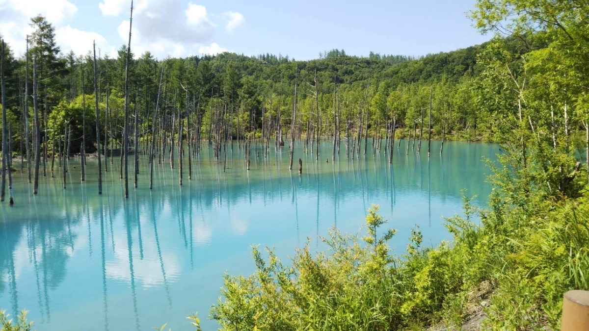 又、行きたい北海道❣️