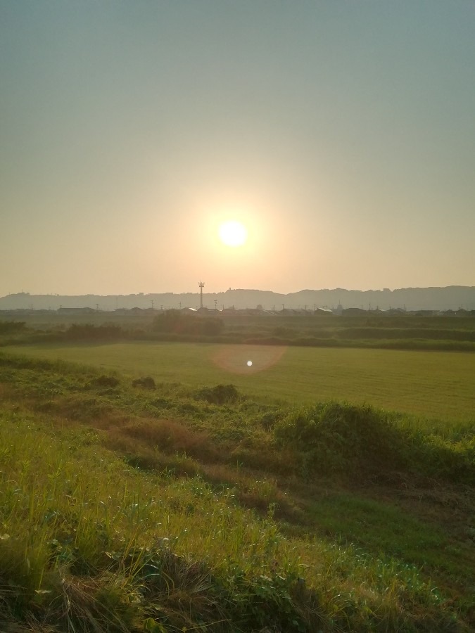 今朝の空