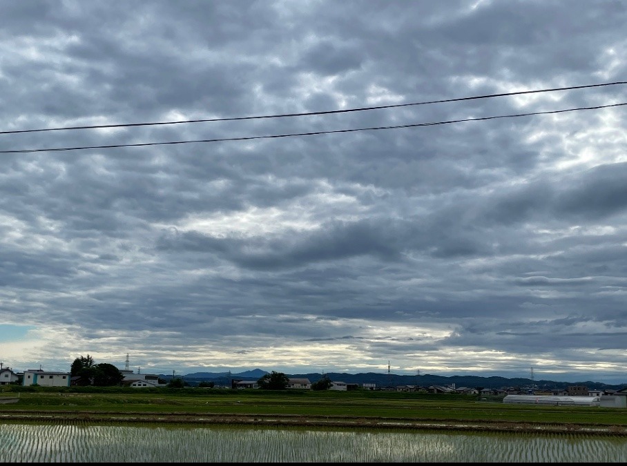 森からの雲