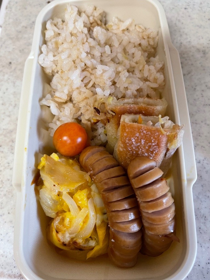 6/6 今日の弁当