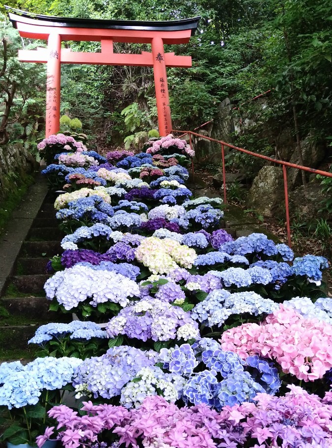 楊谷寺