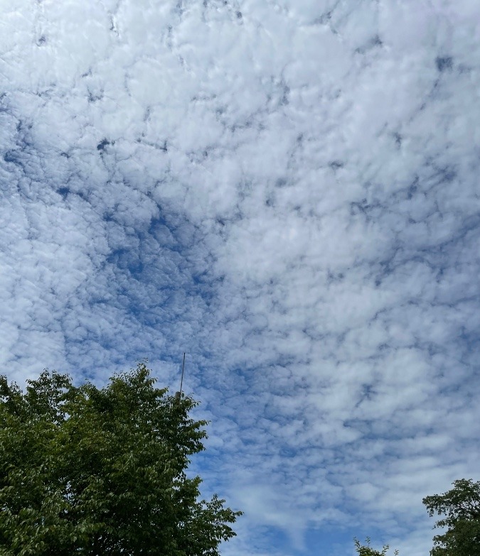 今日の空✨