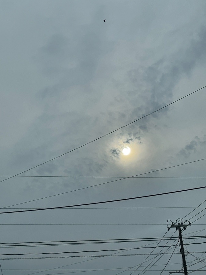 月のような太陽☀️