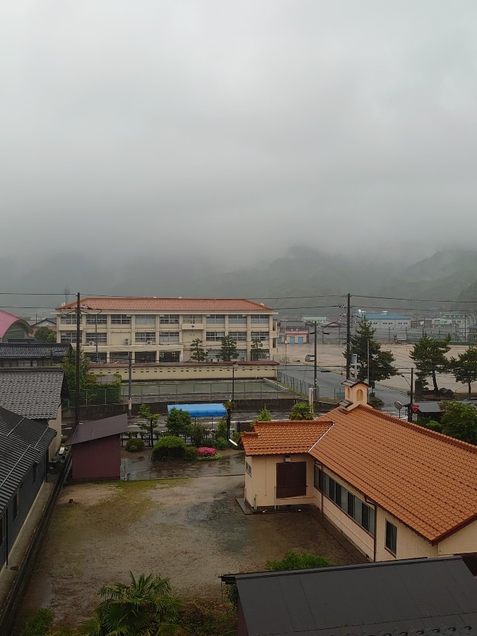 今日は暴風雨😂