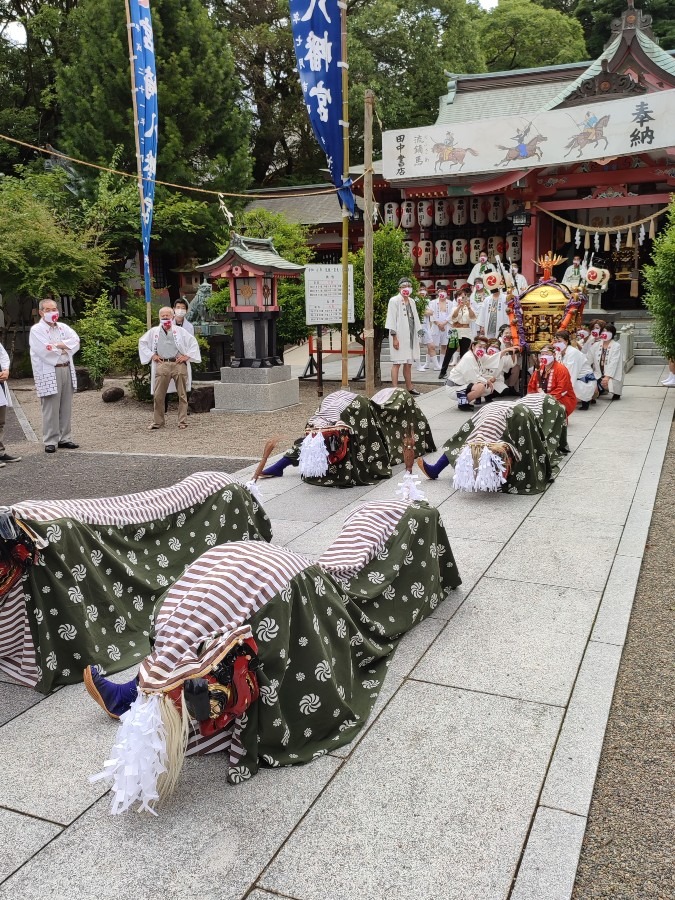 おみこしスタンバイ！！