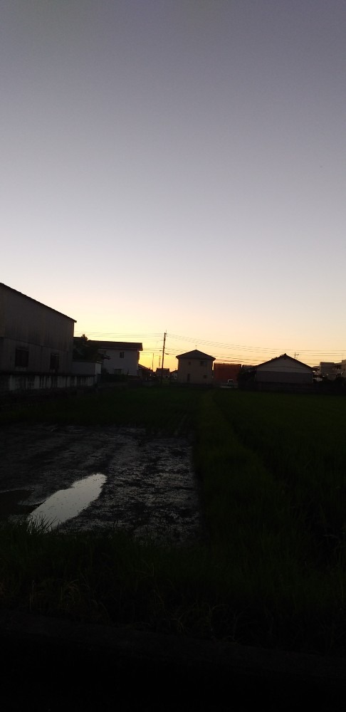 朝の風景　まだ日の出前