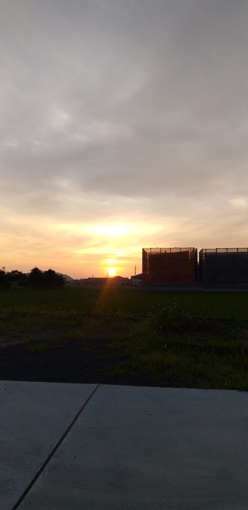 朝の散歩と風景