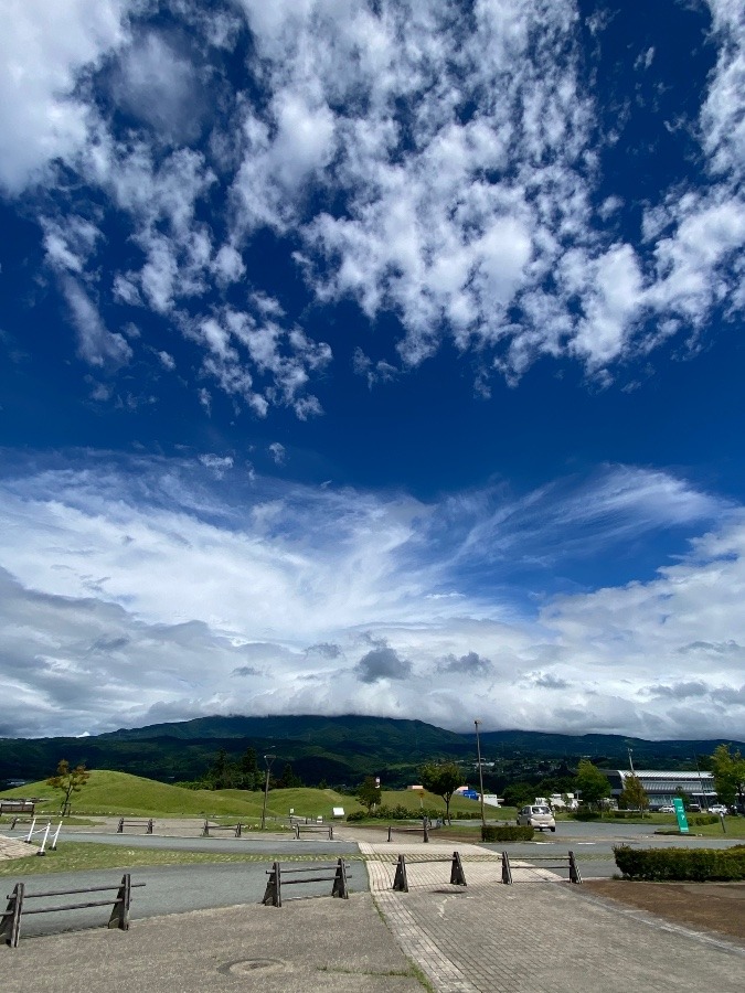 空に鳳凰☀️☀️🎶