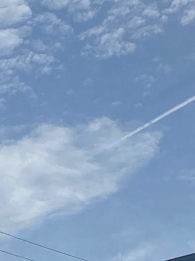 飛行機雲と空と雲？