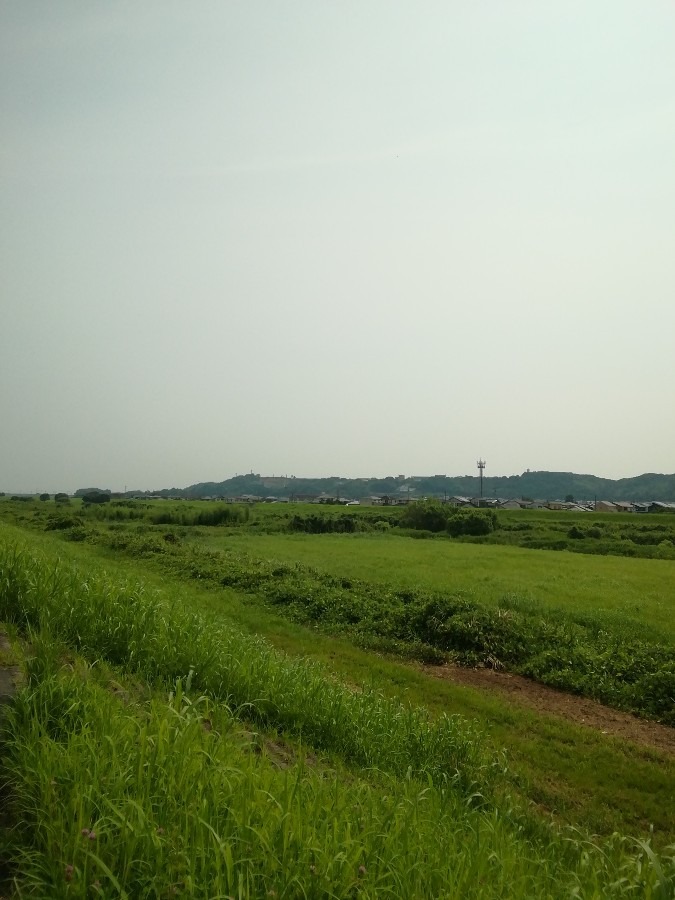 おだやか
