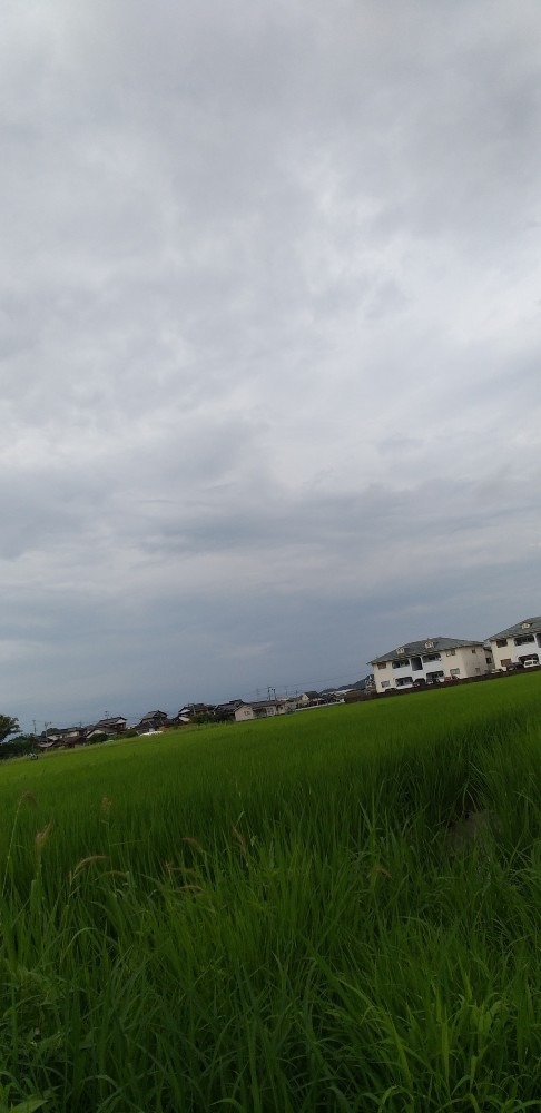 7/19　今朝の空