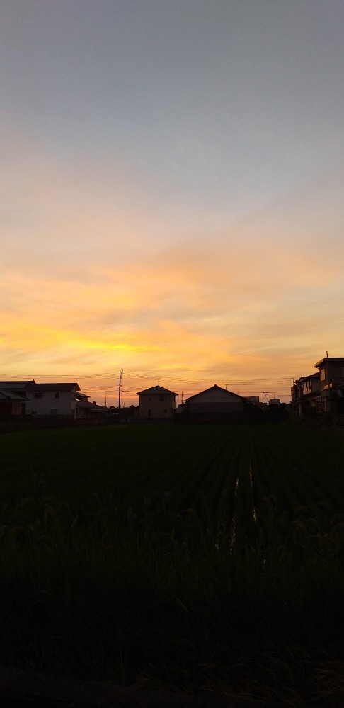 7/17　今朝の空