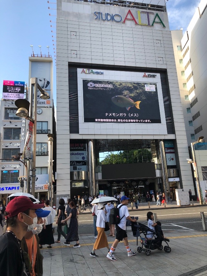 ホコテン　新宿