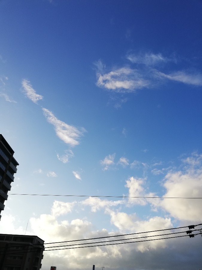 今日の空!