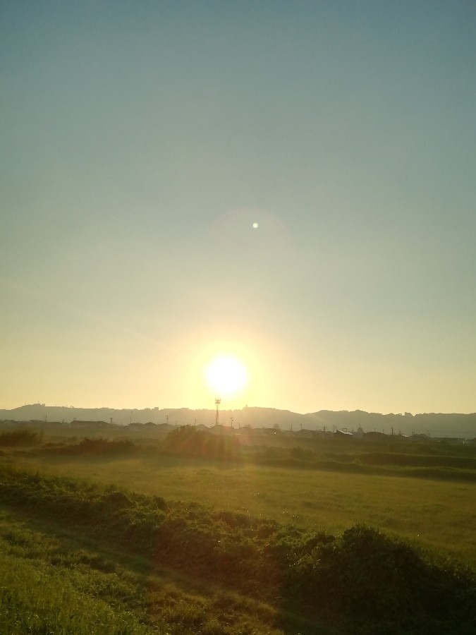 今朝の空