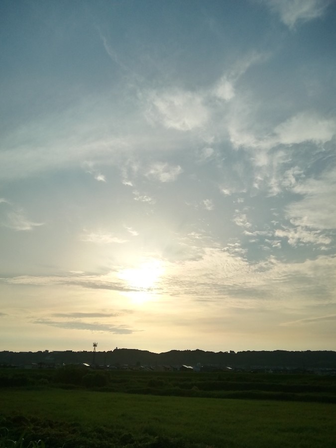 今朝の空