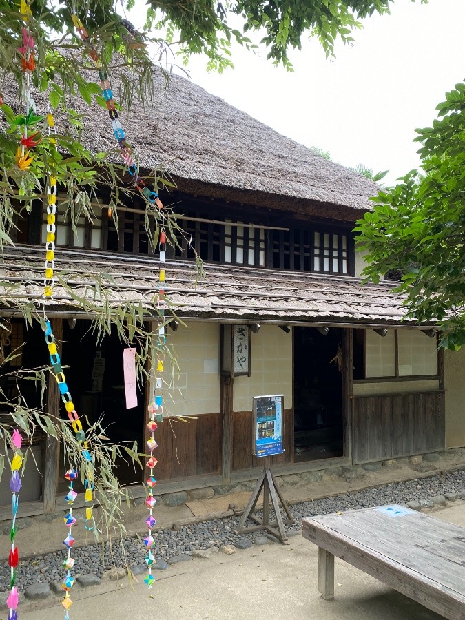 次大夫堀公園民家園🎄🦚🌾🎋