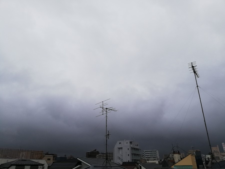 おはよう雨☔