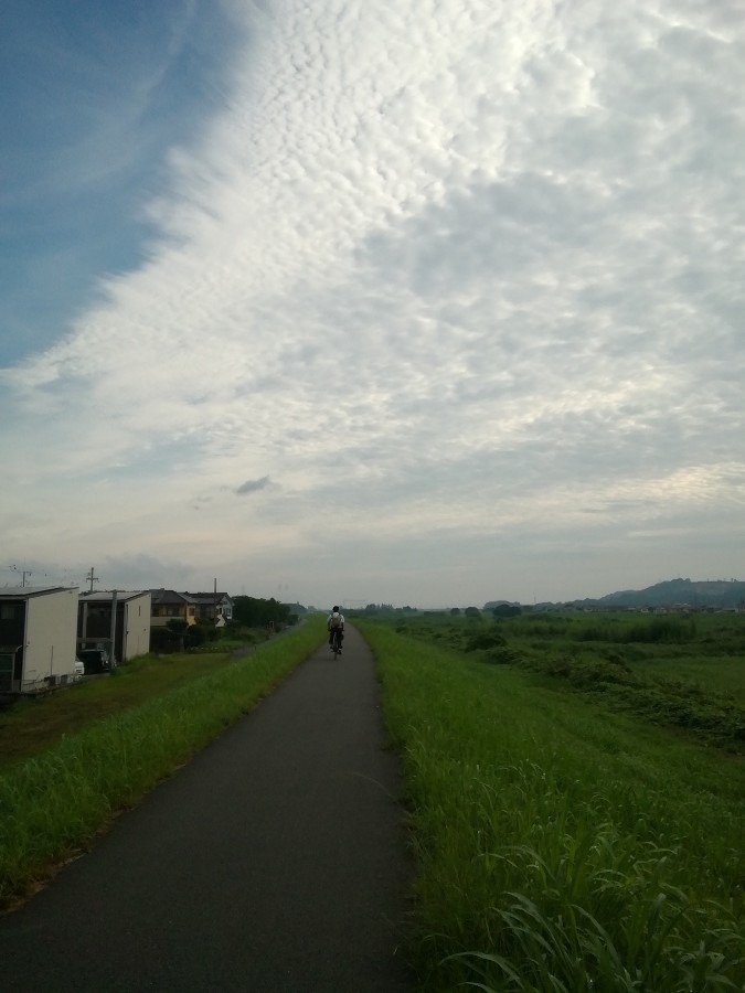 自転車通学