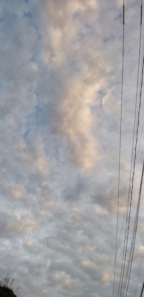 朝空の風景　フンワリ優しい