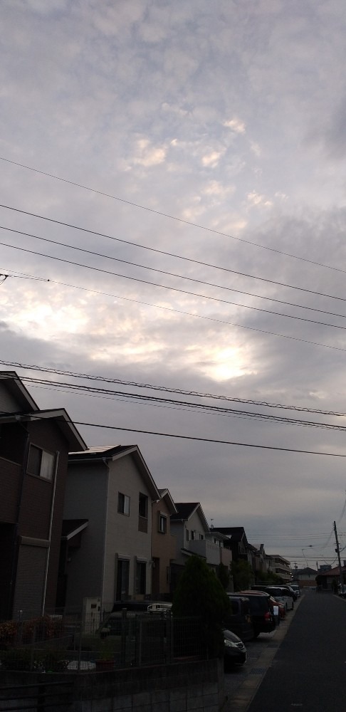 いつもの玄関前の空