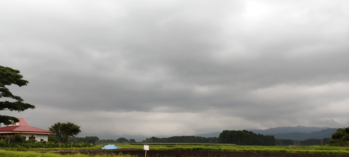 都城市（2022/7/15）今朝は雨が降ってます😨❗❗