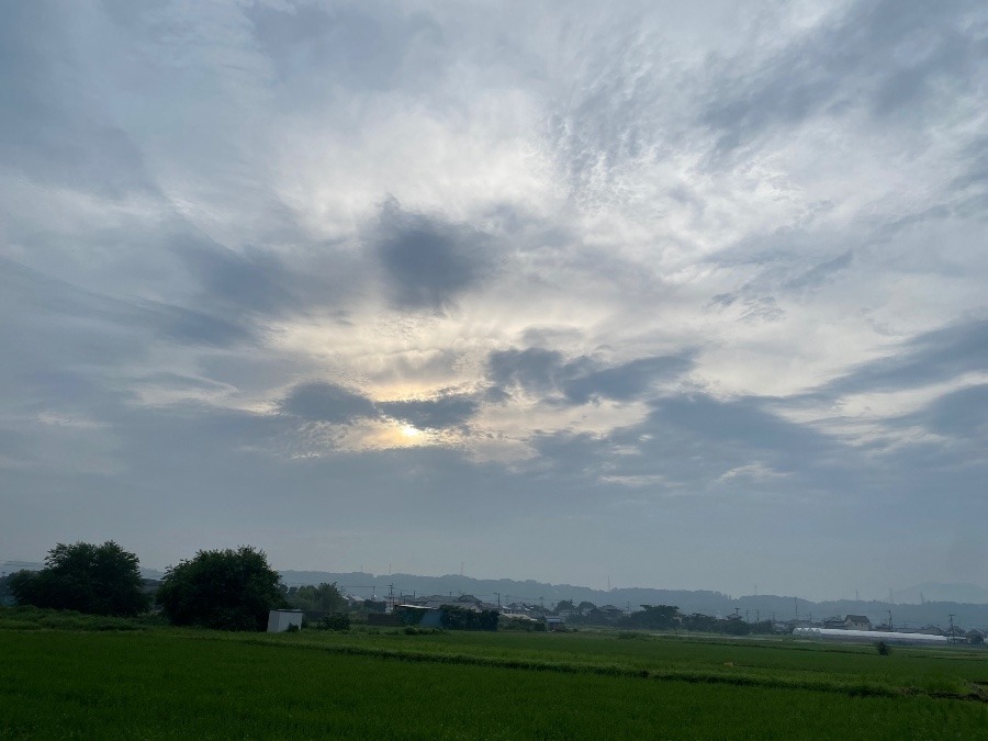 今朝の空　7／21