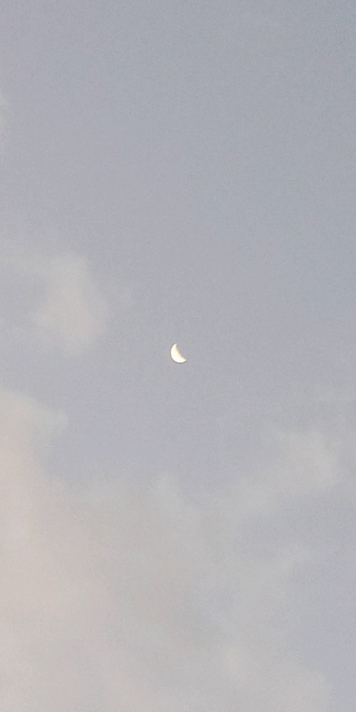 お月🌛様が…