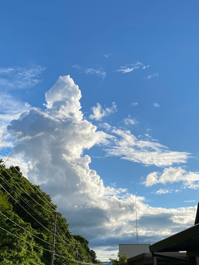 たくましい雲☁️☀️