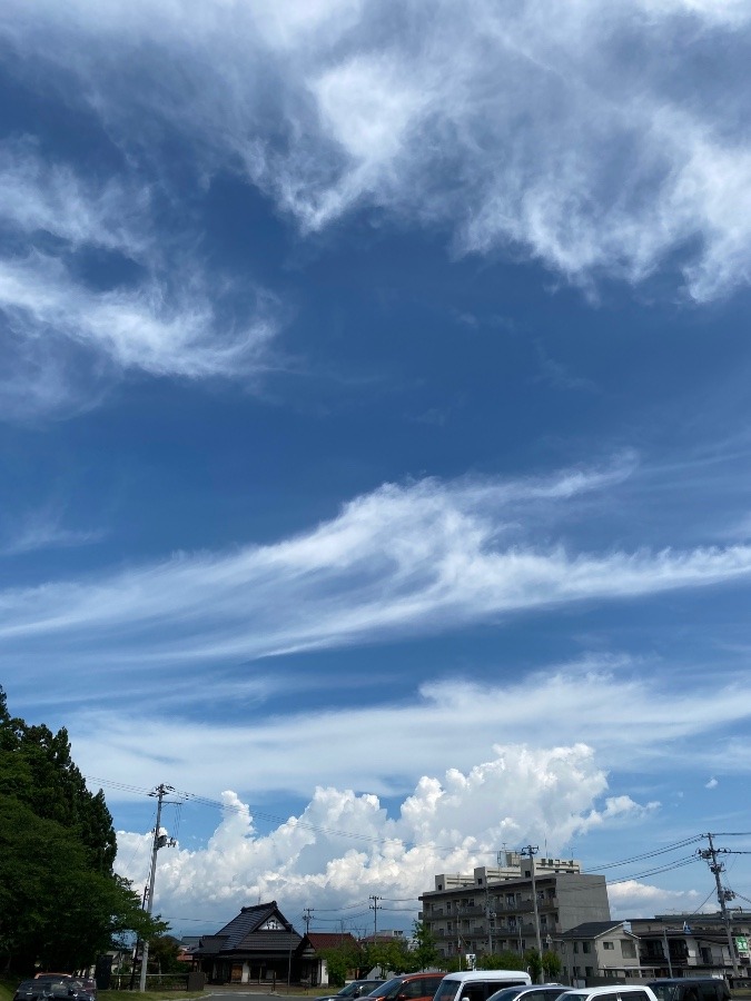 夏の雲☁️☁️☁️‼️