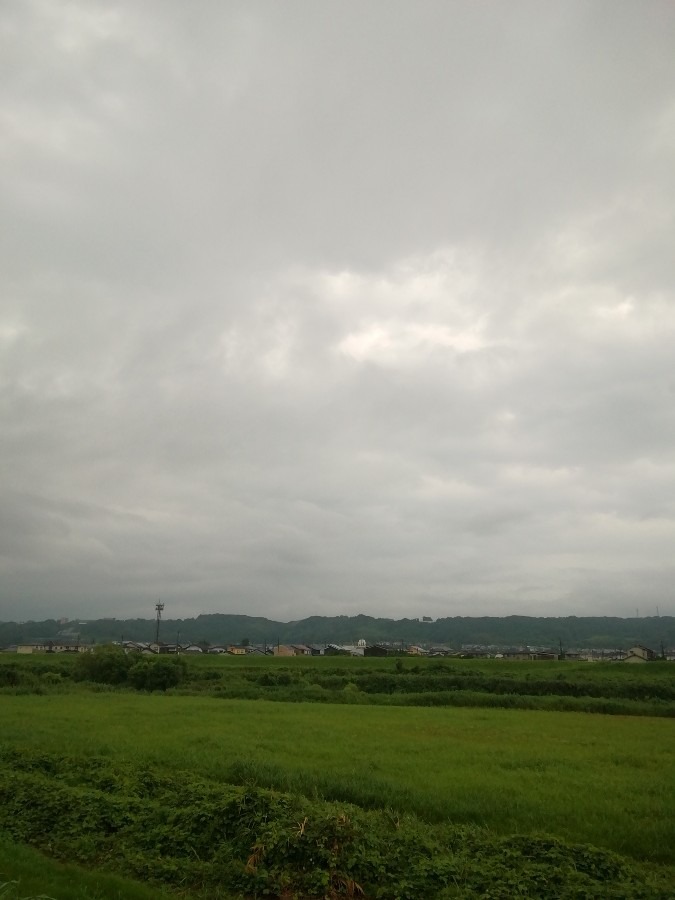今朝の空