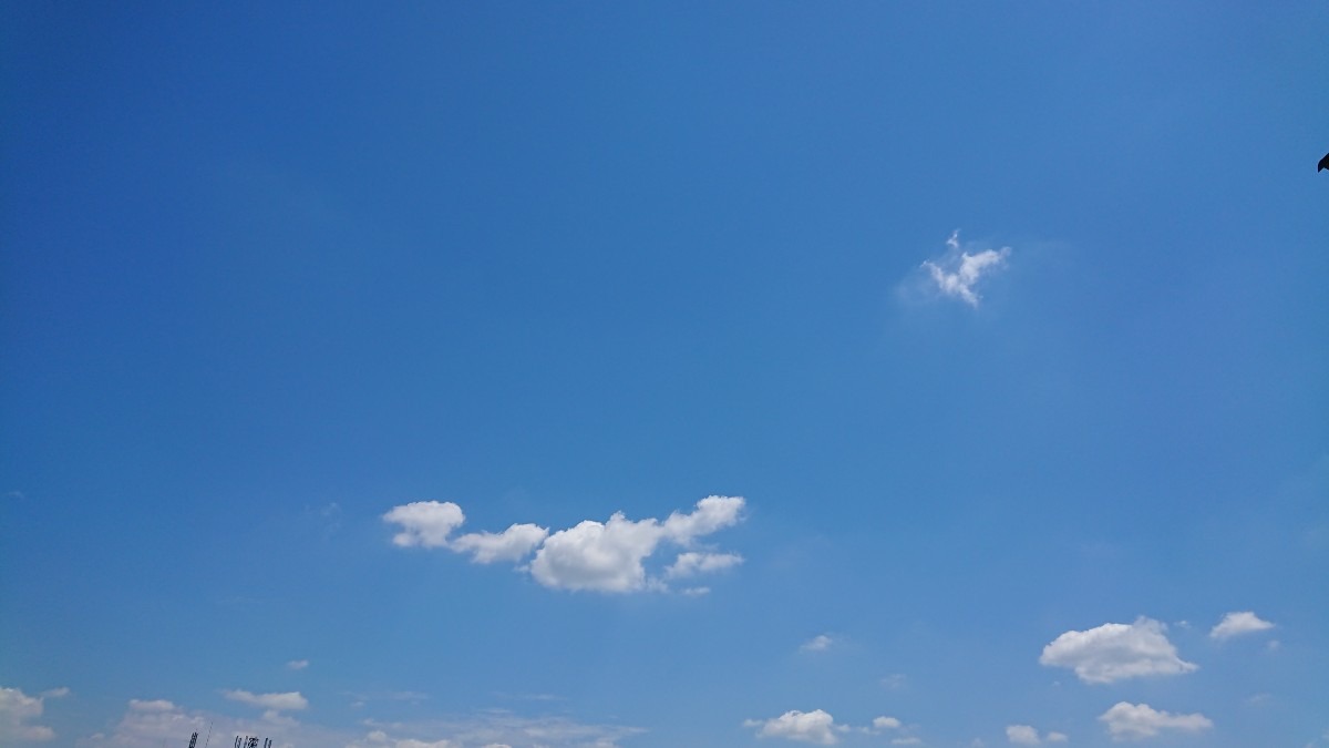 7/31 昼空