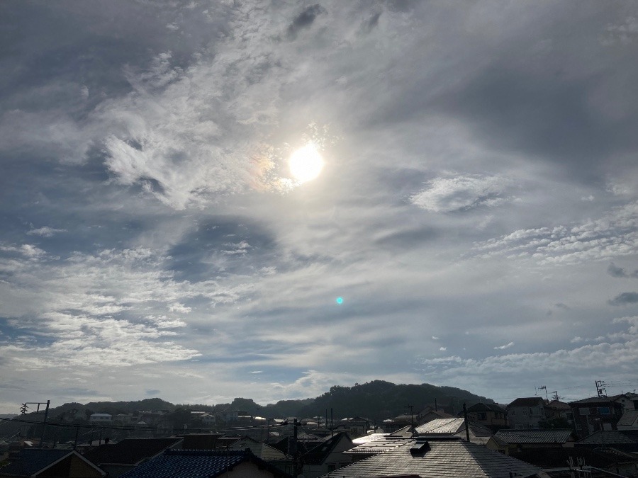 今日は雨の心配なし‼️